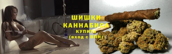 ПСИЛОЦИБИНОВЫЕ ГРИБЫ Аркадак