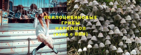 бошки Арсеньев
