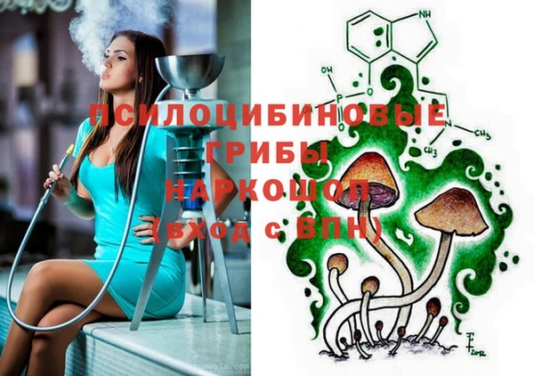 бошки Арсеньев