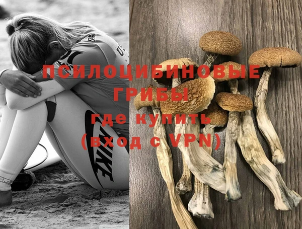a pvp Армянск