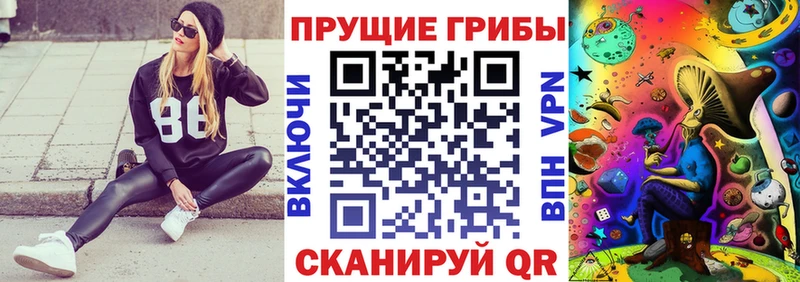 закладки  Хотьково  Псилоцибиновые грибы ЛСД 